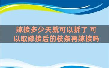 嫁接多少天就可以拆了 可以取嫁接后的枝条再嫁接吗